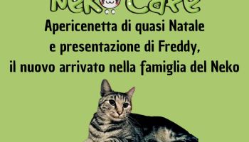 Sabato 21 Dicembre: APERICENETTA di quasi NATALE con la presentazione di FREDDY il nuovo arrivato in casa Neko